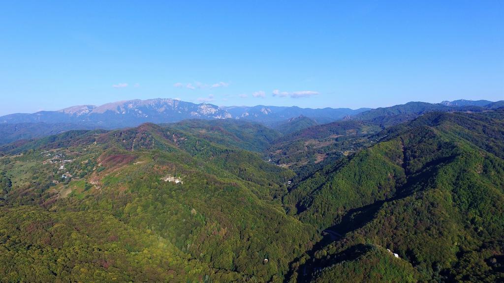 Pensiunea Eden Băile Olăneşti Exteriér fotografie